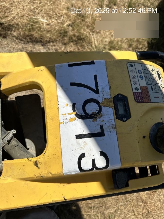 2018 WACKER NEUSON BS60-4As