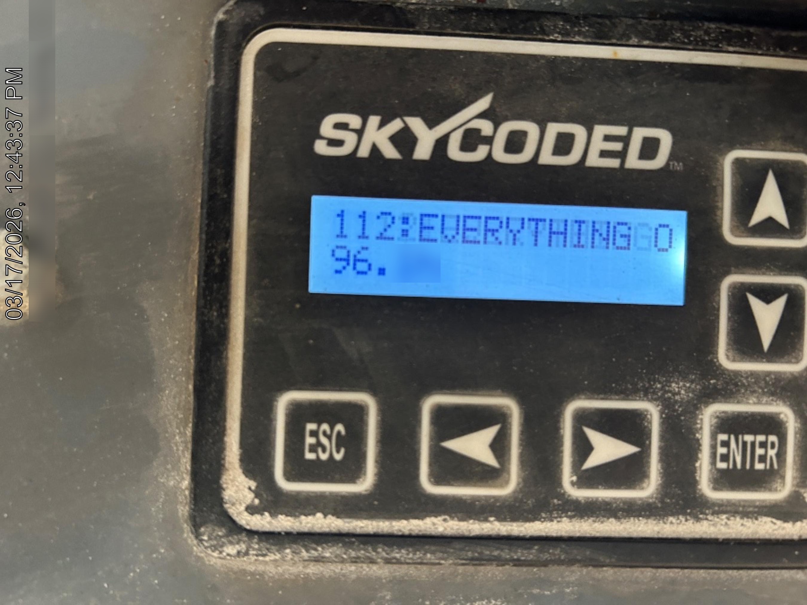 2020 SKYJACK SJIII-3219